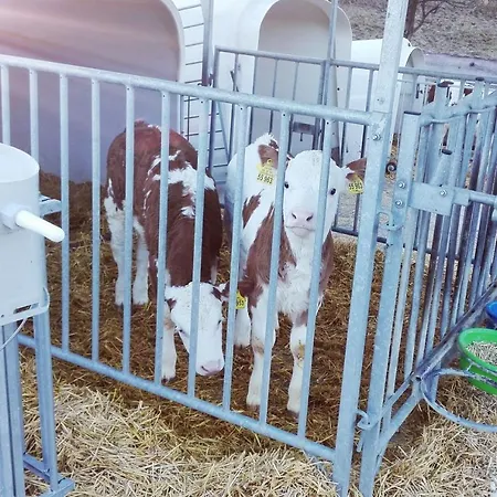 Hafnerhof Vakantieboerderij
